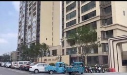 莆田一小区爆料新闻视频,业主维权事件引发关注