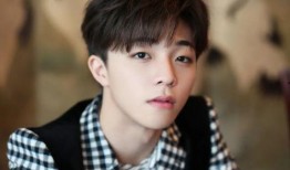 陈立农黑料娱乐圈爆料,真相与谣言的交织